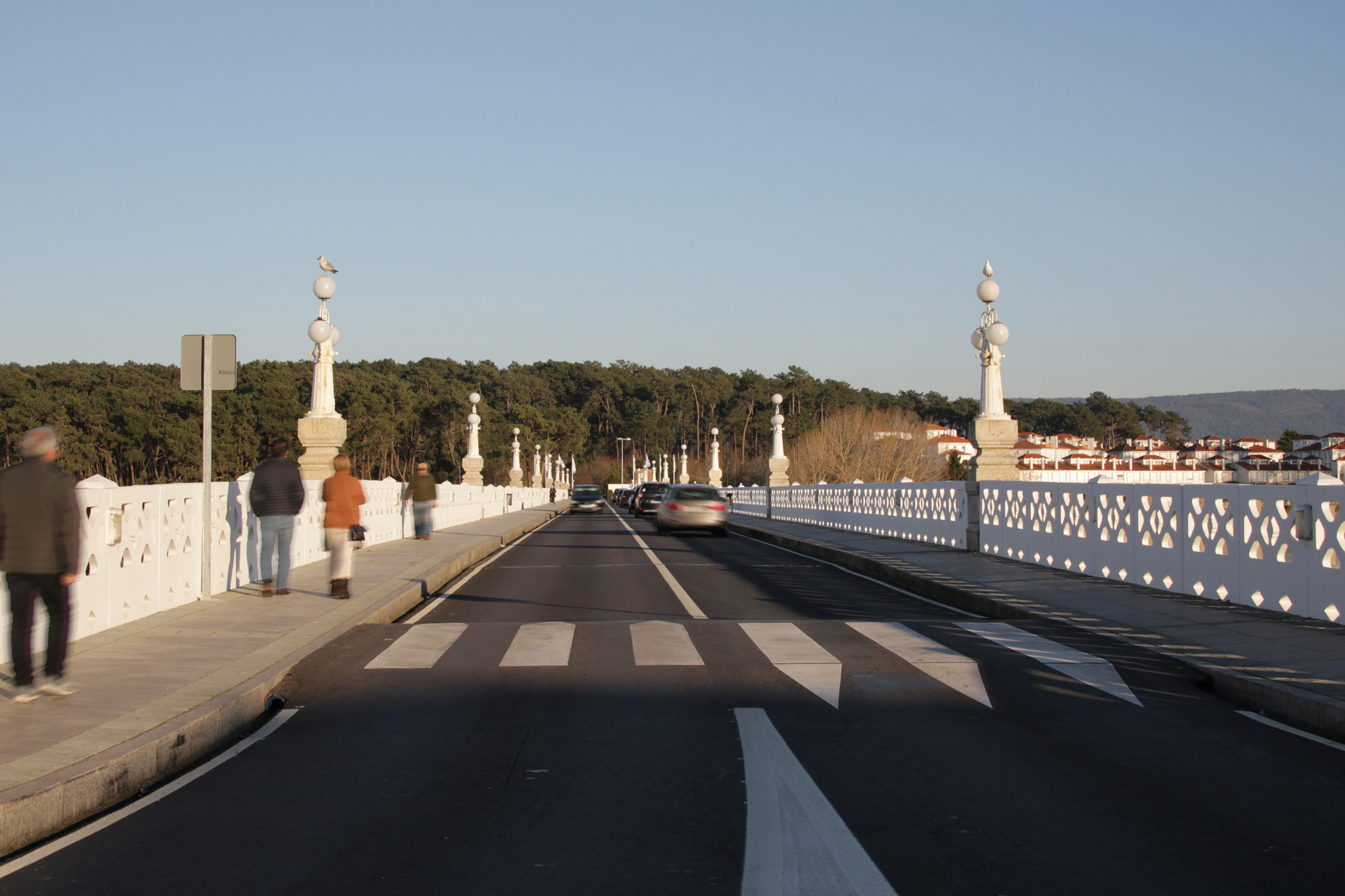 072_mhd_Toja 5 web_10858.jpg